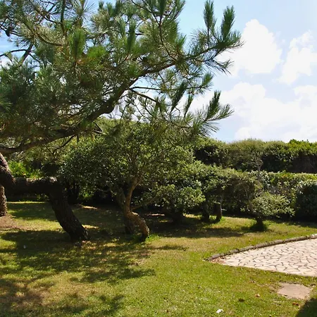 Dunes - Patio Avec Jardin - Proche De La Graviere