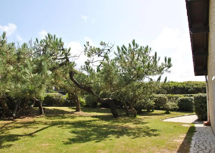 Dunes - Patio Avec Jardin - Proche De La Graviere Ferienhaus